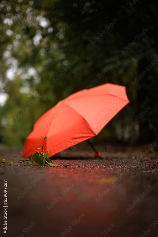 A fallen leaf against a red umbrella in the fall.  A red umbrella in the fall