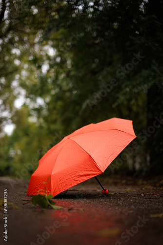 Close-up of an umbrella on the road in the park. A red umbrella in the fall