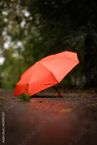 A fallen leaf against a red umbrella in the fall.  A red umbrella in the fall