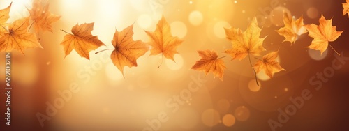 Flying Fall Maple Leaf on Autumn Background at Golden Hour