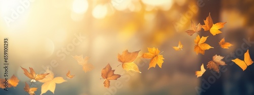 Flying Fall Maple Leaf on Autumn Background at Golden Hour