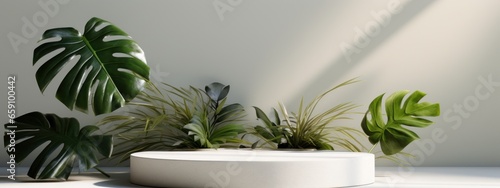 White Podium with Tropical Leaves and Shadows for Product Presentation 