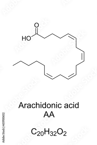 Arachidonic acid, AA or ARA, chemical formula and structure. Polyunsaturated omega-6 fatty acid, present in phospholipids of membranes of body cells, and abundant in the brain, muscles, and liver.
