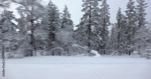 Snowy arctic taiga landscape travel photo