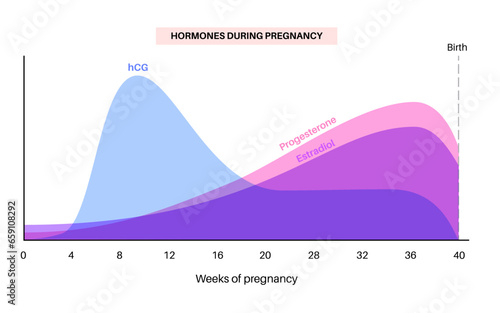 Hormones in pregnancy