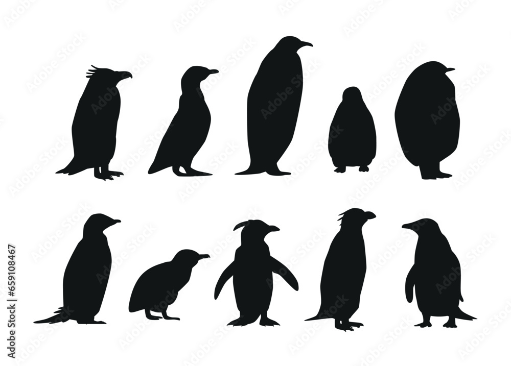 Naklejka premium Set of Penguins Various Species Black Silhouettes. Emperor, Adelie, Gentoo, Rockhopper, King and Macaroni, Fluffy