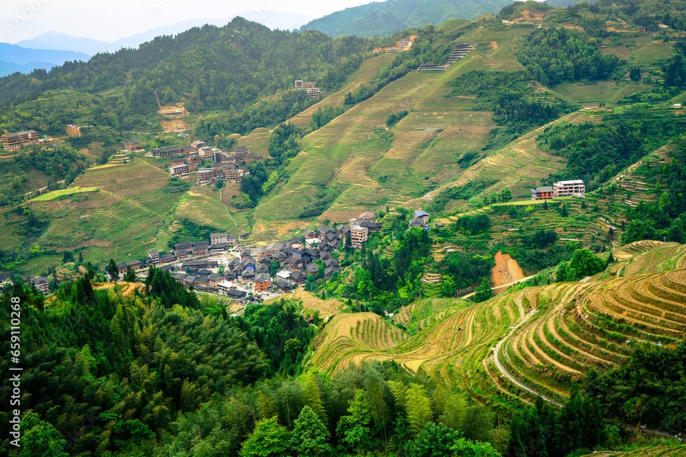 View of Longji terrace with rice terrace at Guilin, Guangxi,China