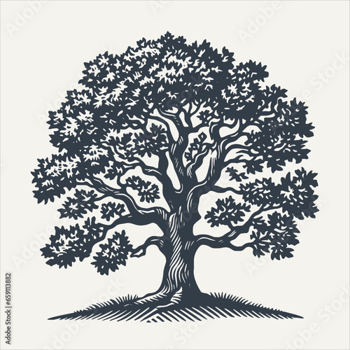 Oak tree. Vintage woodcut engraving style vector illustration.	