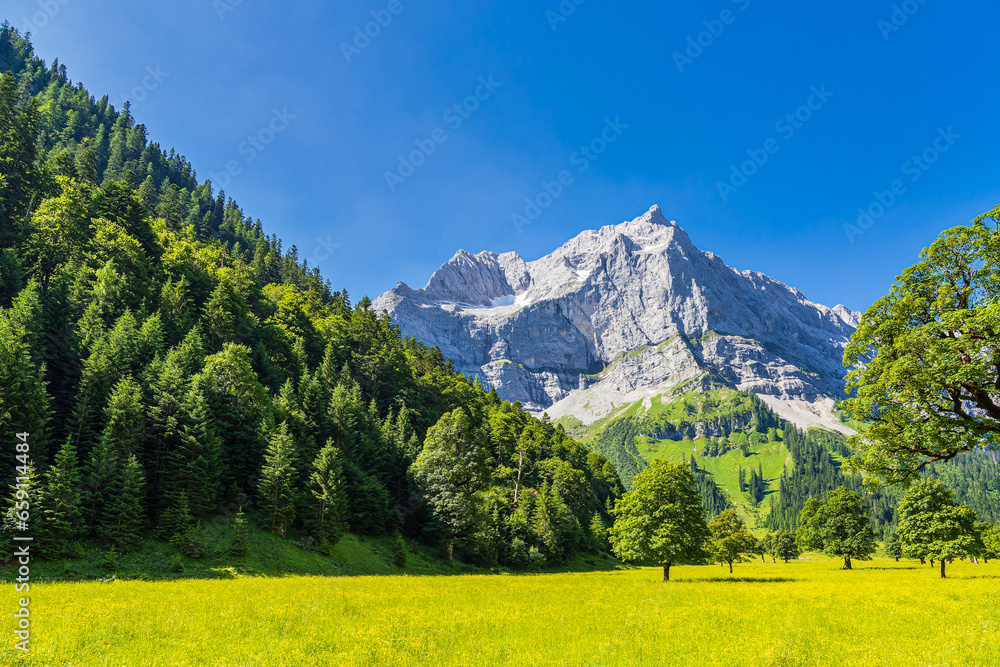 Der Große Ahornboden im Rißtal bei der Eng Alm in Österreich Der Große Ahornboden im Rißtal bei der Eng Alm in Österreich