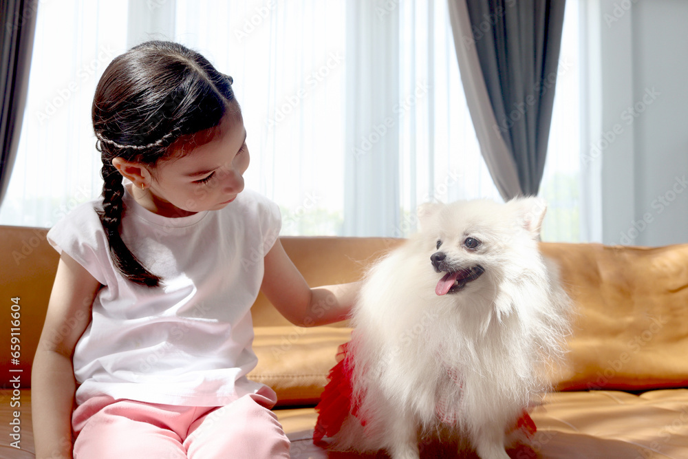 Happy smiling little cute girl playing with her fluffy white Pomeranian dog while sitting on the sofa in the living room. Kid with pet at home, child enjoy spending time with lovely animal friend. Happy smiling little cute girl playing with her fluffy white Pomeranian dog while sitting on the sofa in the living room. Kid with pet at home, child enjoy spending time with lovely animal friend.