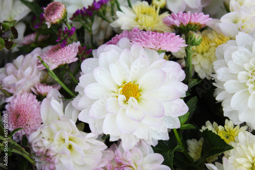 natural background of fresh autumn flowers