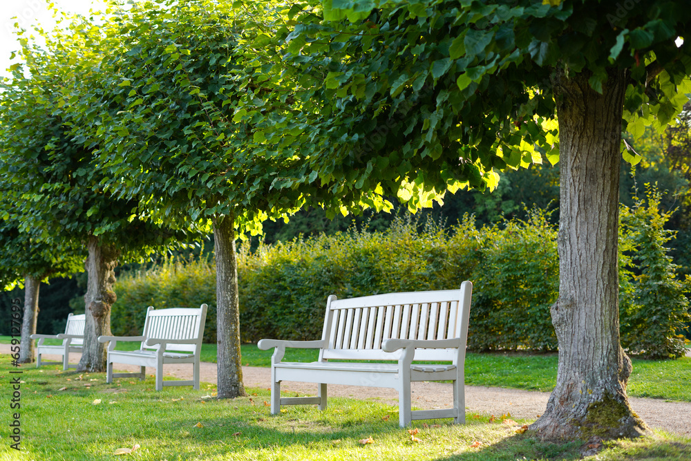 White benches in sunny garden White benches in sunny garden