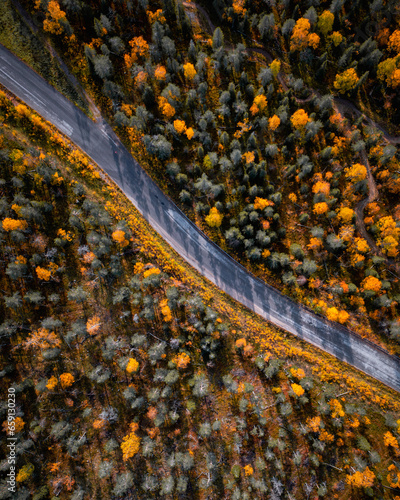 Aerial view of a road and fall colored trees in Levi fell, Kittilä, Finland