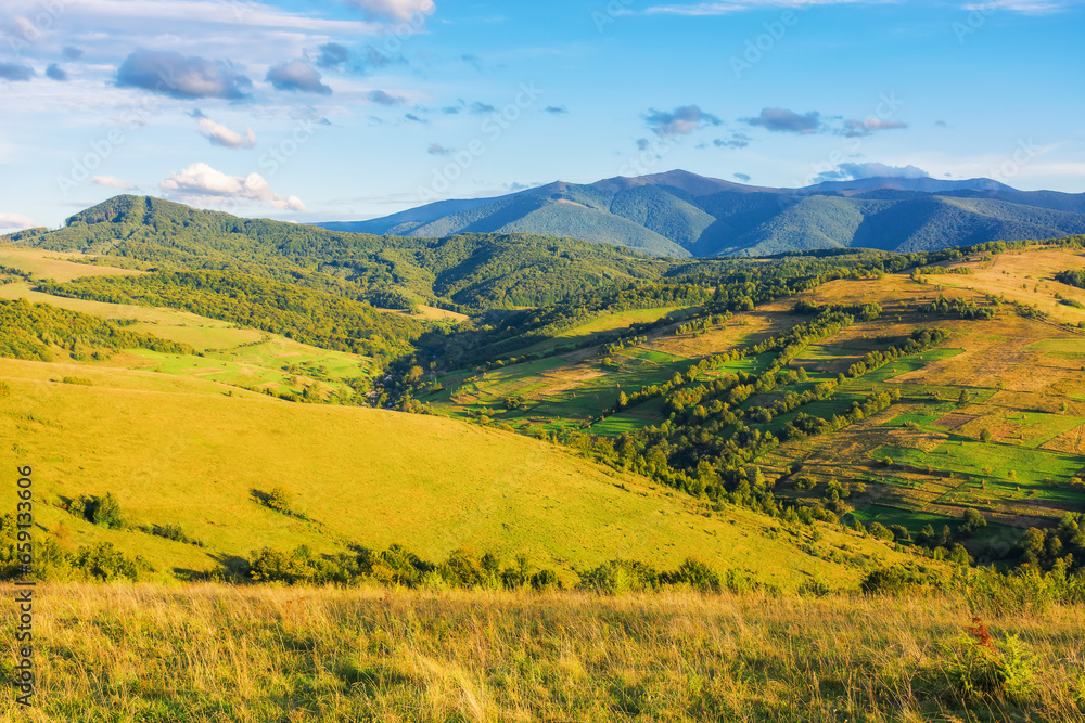 mountainous landscape in autumn. rural fields on the grassy hills. beautiful outdoor scenery of carpathian countryside in evening light