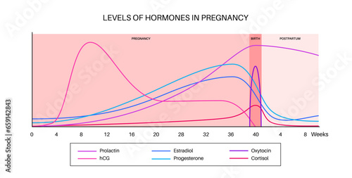 Hormones in pregnancy
