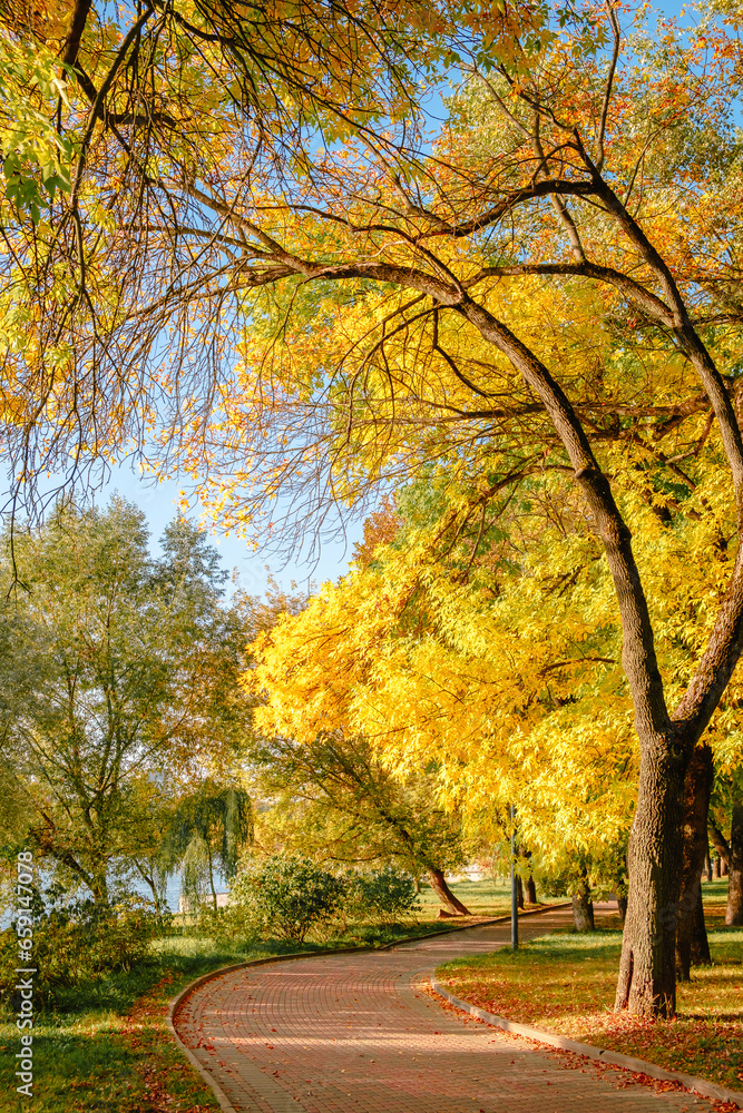 Beautiful city park in autumn season. Empty hiking trail among bright yellow trees. Golden hour. Beauty in nature. Path in the tranquil place on a sunny fall afternoon. Calm landscape with footpath