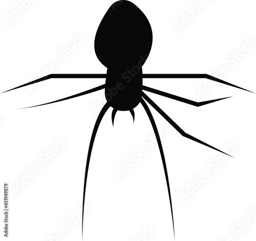 Spider Black Widow. Black bug spider silhouette, isolated white background. Scary Halloween icon, symbol horror, animal arachnid, creepy dangerous insect, arachnophobia fear
