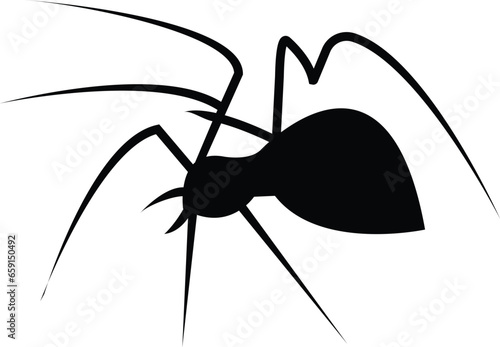 Spider Black Widow. Black bug spider silhouette, isolated white background. Scary Halloween icon, symbol horror, animal arachnid, creepy dangerous insect, arachnophobia fear