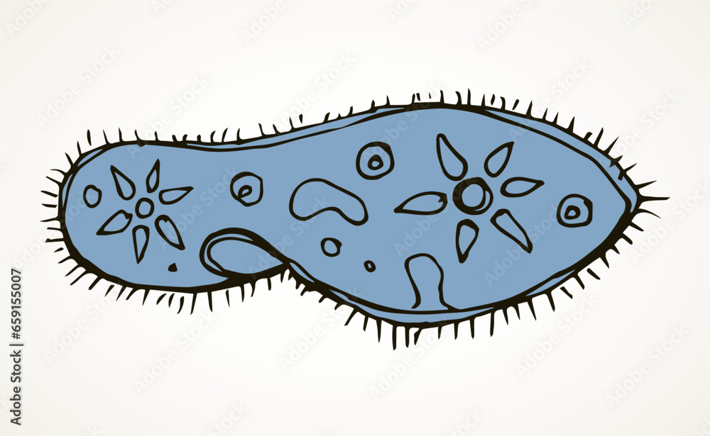 Paramecium caudatum. Vector drawing icon Paramecium caudatum. Vector drawing icon