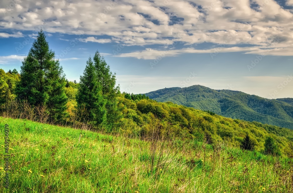 Spring mountain landscape in Polish mountains. Green meadow and forested hills. Spring mountain landscape in Polish mountains. Green meadow and forested hills.