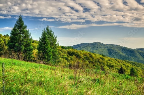 Spring mountain landscape in Polish mountains. Green meadow and forested hills.