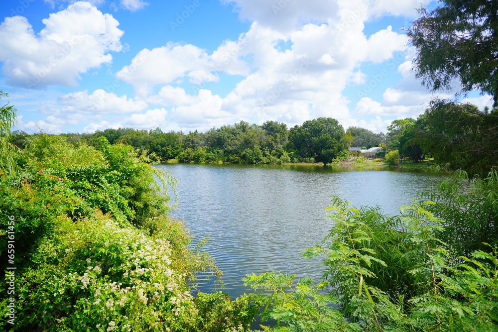 The landscape of Hillsborough river at Tampa, Florida	