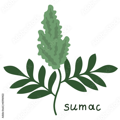 Isolated sumac flower