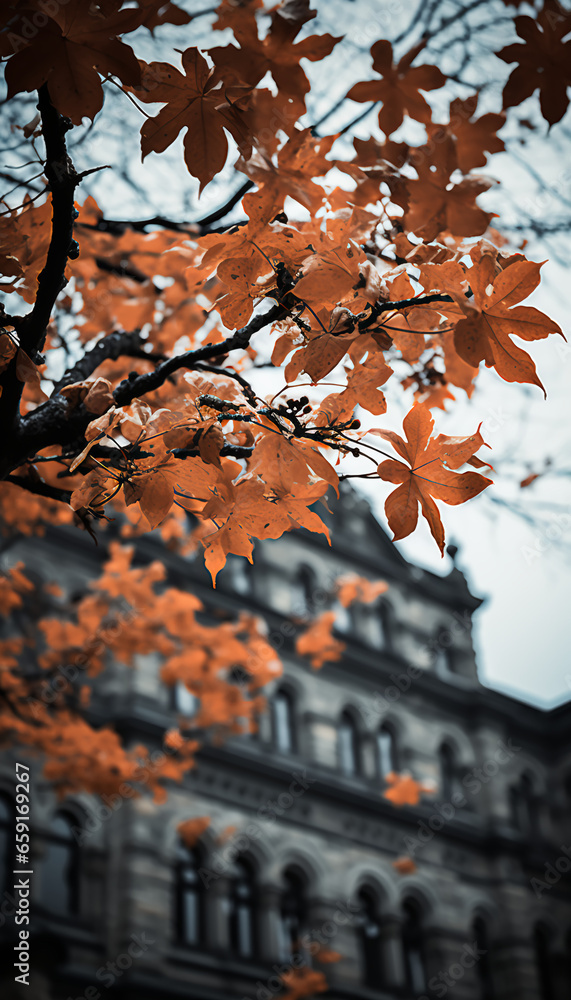 Fototapeta premium Castle - manor - estate - mountains - English - aristocrats- nobleman - fall - autumn - peak leaves 