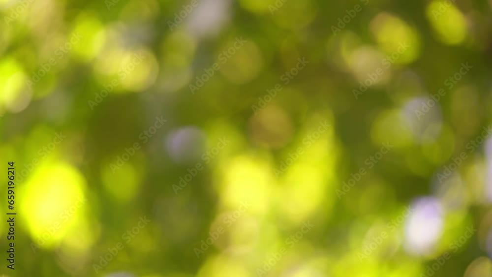 Abstract natural bokeh background. Defocused circles of leaves and soft sunlight in motion. Abstract natural bokeh background. Defocused circles of leaves and soft sunlight in motion.