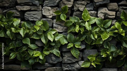 Close-up of a stone wall adorned with green leaves. Generative AI