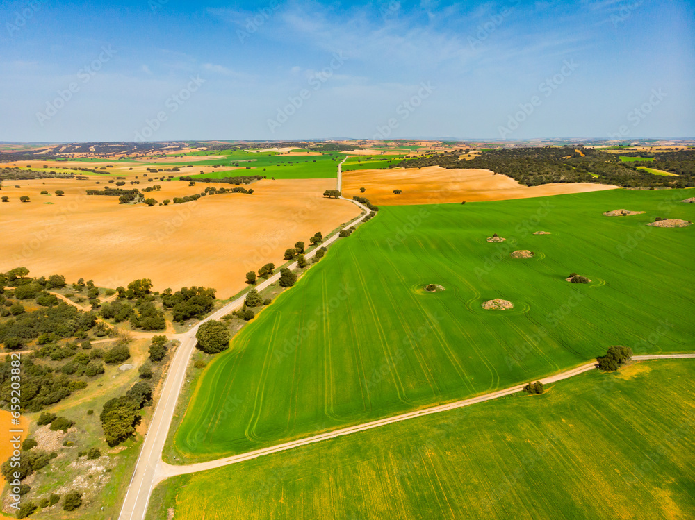 Naklejka premium Aerial view of the endless fields in the region of Castile-La Mancha, Spain