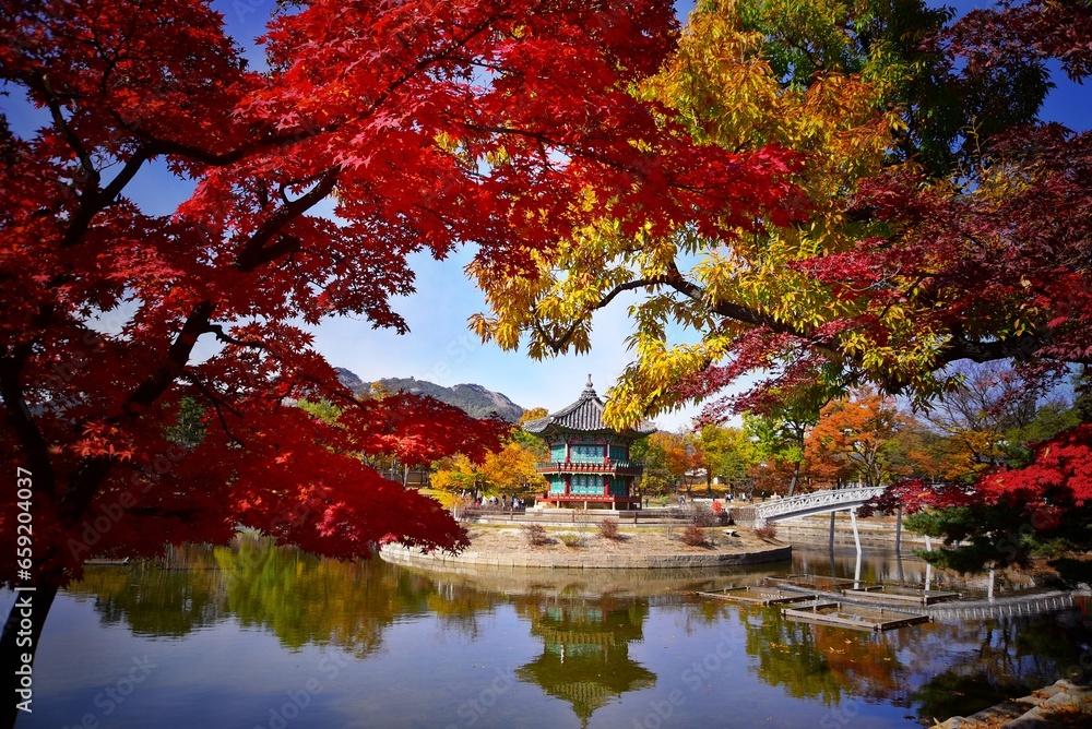 Fototapeta premium autumn in the park