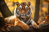 A majestic tiger resting on a log in the enchanting woods