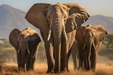 A majestic herd of elephants traversing a golden savannah landscape