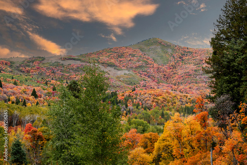 Fall Colors North Eastern Utah 2023