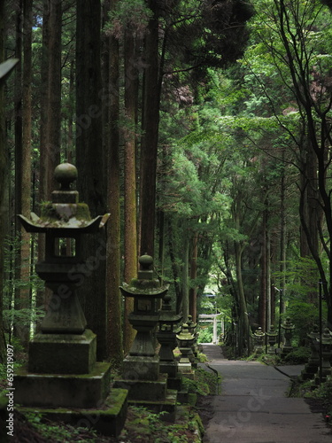 高い木々に囲まれた神社の境内
