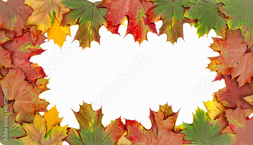 Leaf Frame. Autumn falling maple leaves isolated on white background. Fall foliage.