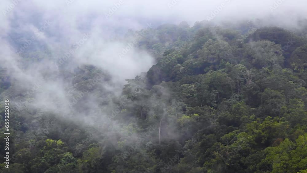 Mountain jungle with fog at Lake Tamlingan, Bali, Indonesia, Asia Mountain jungle with fog at Lake Tamlingan, Bali, Indonesia, Asia