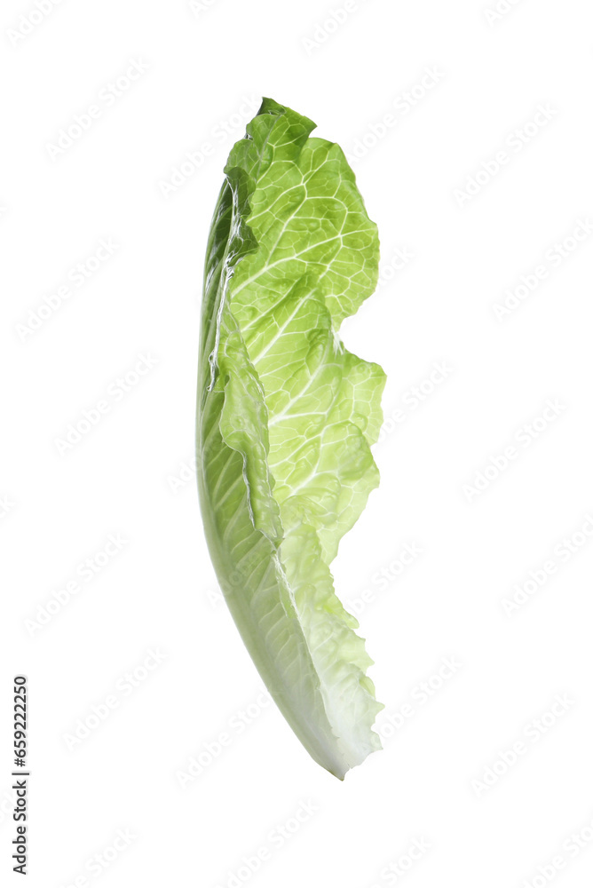 Fresh leaf of green romaine lettuce isolated on white Fresh leaf of green romaine lettuce isolated on white