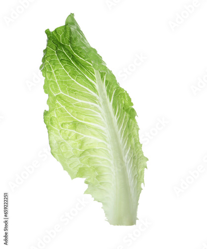 Fresh leaf of green romaine lettuce isolated on white