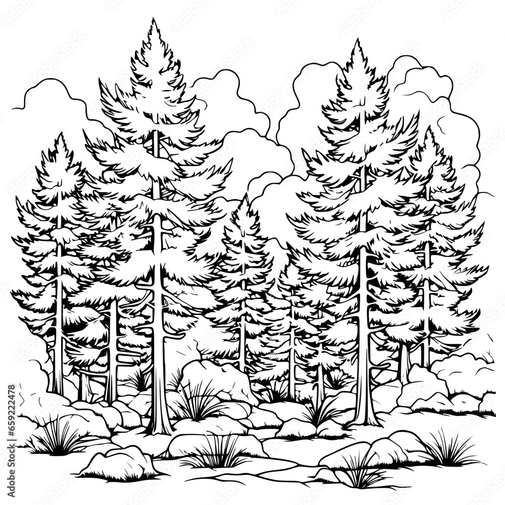 Handdrawn Pine Trees Forest Black and White Line Art Illustration Handdrawn Pine Trees Forest Black and White Line Art Illustration
