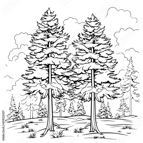 Handdrawn Pine Trees Forest Black and White Line Art Illustration