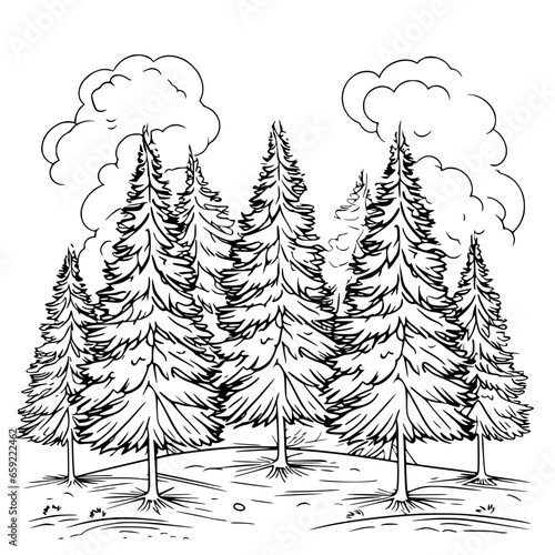Handdrawn Pine Trees Forest Black and White Line Art Illustration