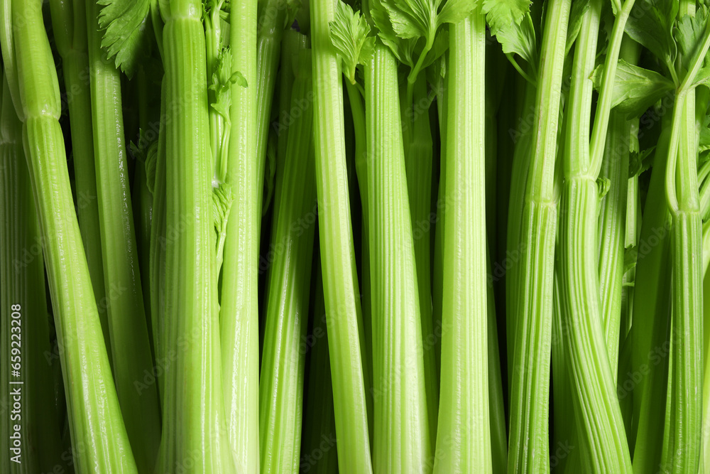 Obraz premium Many fresh green celery bunches as background, top view