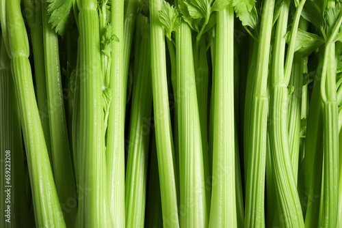 Many fresh green celery bunches as background  top view