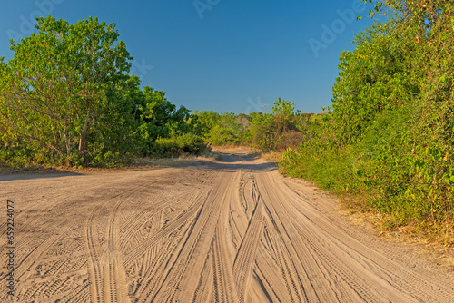 Rural Dirt Road in the African Veldt