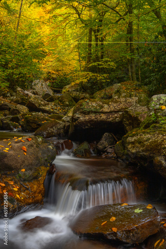 Autumn along the mountain creek