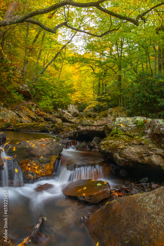 Autumn along the mountain creek