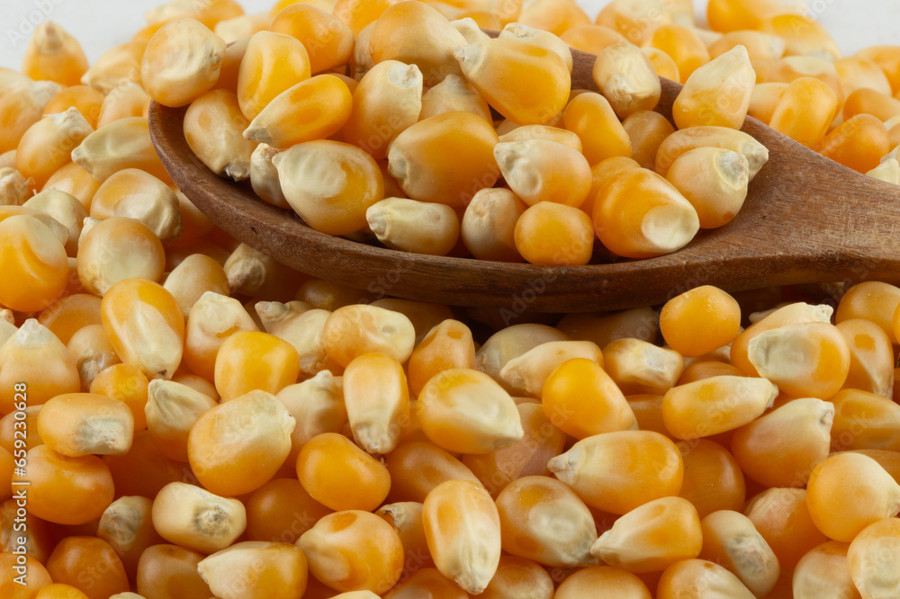 Portion of corn grains. Selective focus. Portion of corn grains. Selective focus.