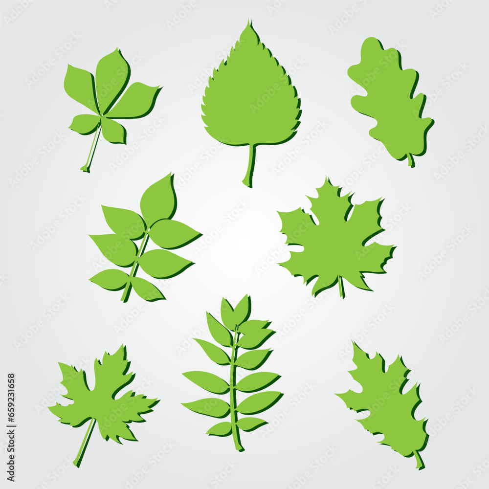 Collection of leaves design vector. Set of nature leaf design vector